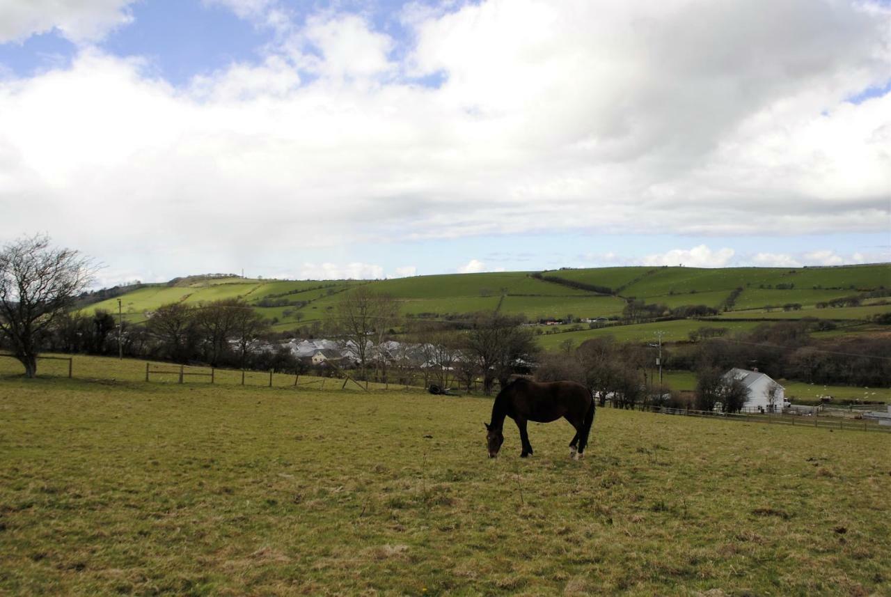 Bro Dafydd Bed & Breakfast Aberystwyth Bagian luar foto