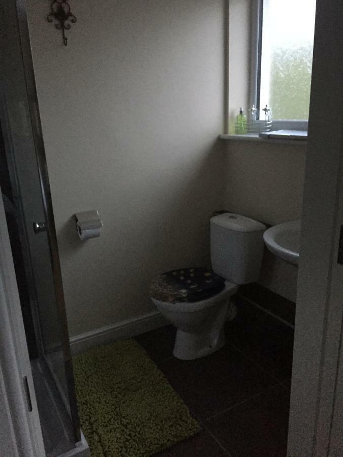 Bro Dafydd Bed & Breakfast Aberystwyth Bagian luar foto