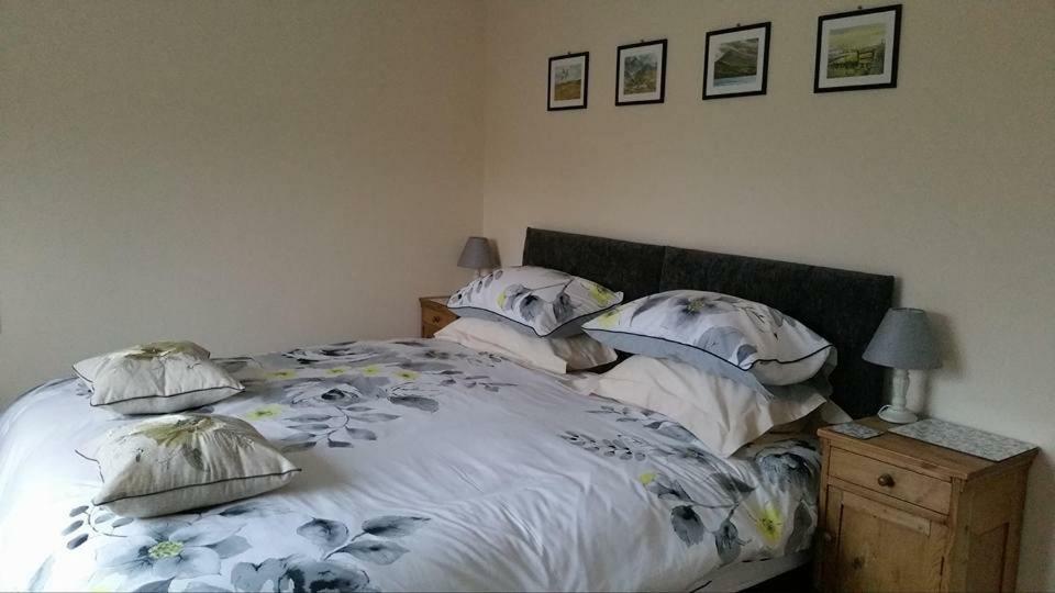 Bro Dafydd Bed & Breakfast Aberystwyth Bagian luar foto