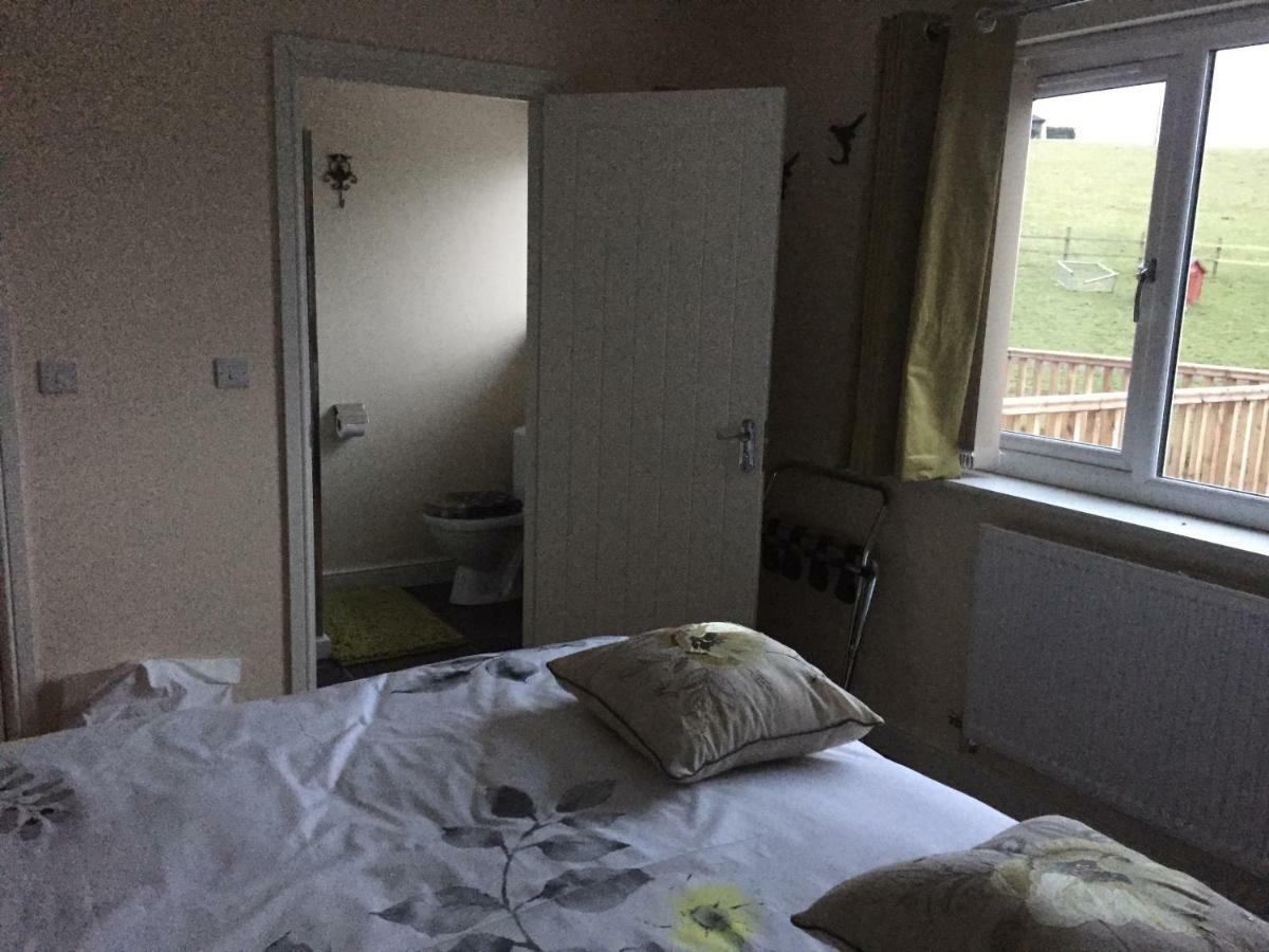 Bro Dafydd Bed & Breakfast Aberystwyth Bagian luar foto